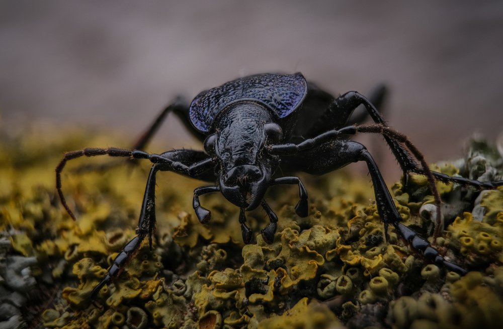 Photograph by Юрьевич Юрий