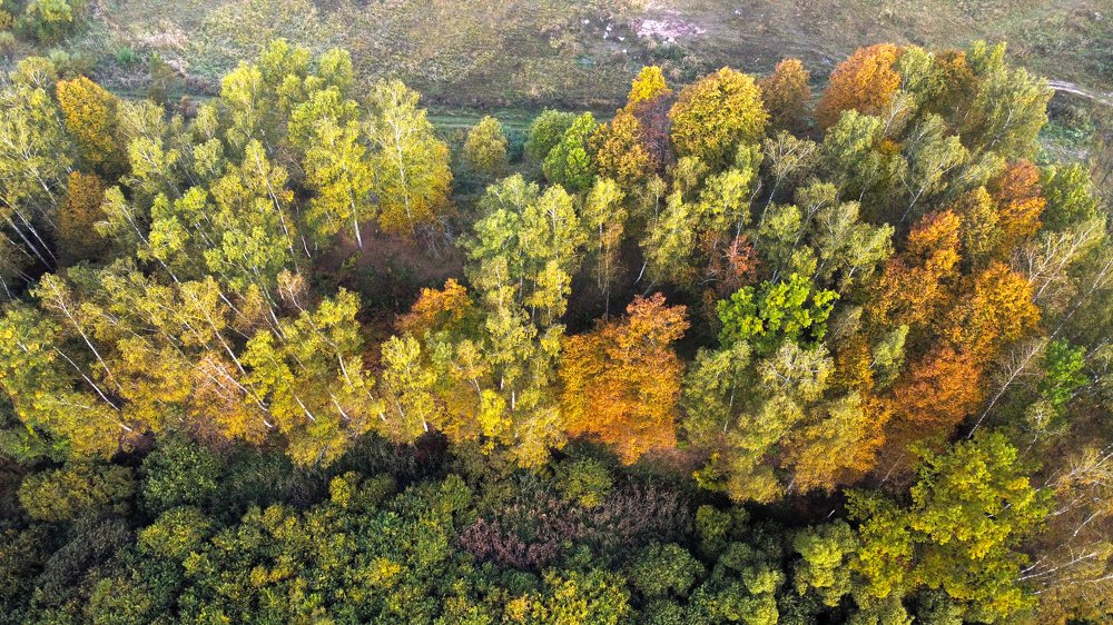 Фотография автора Коротков Алексей