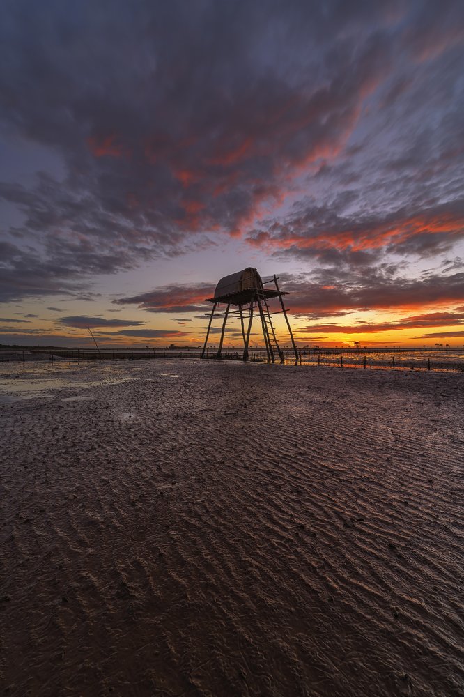 Photograph by THANH NGUYEN