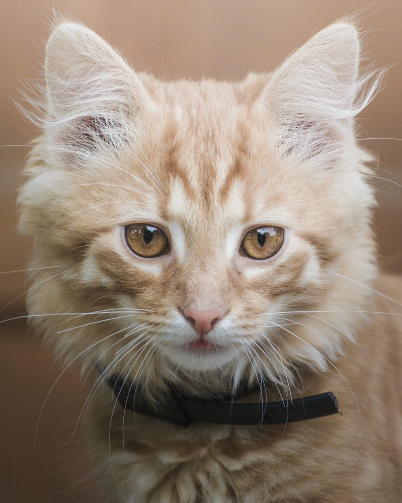 Photograph by Вадим Величко