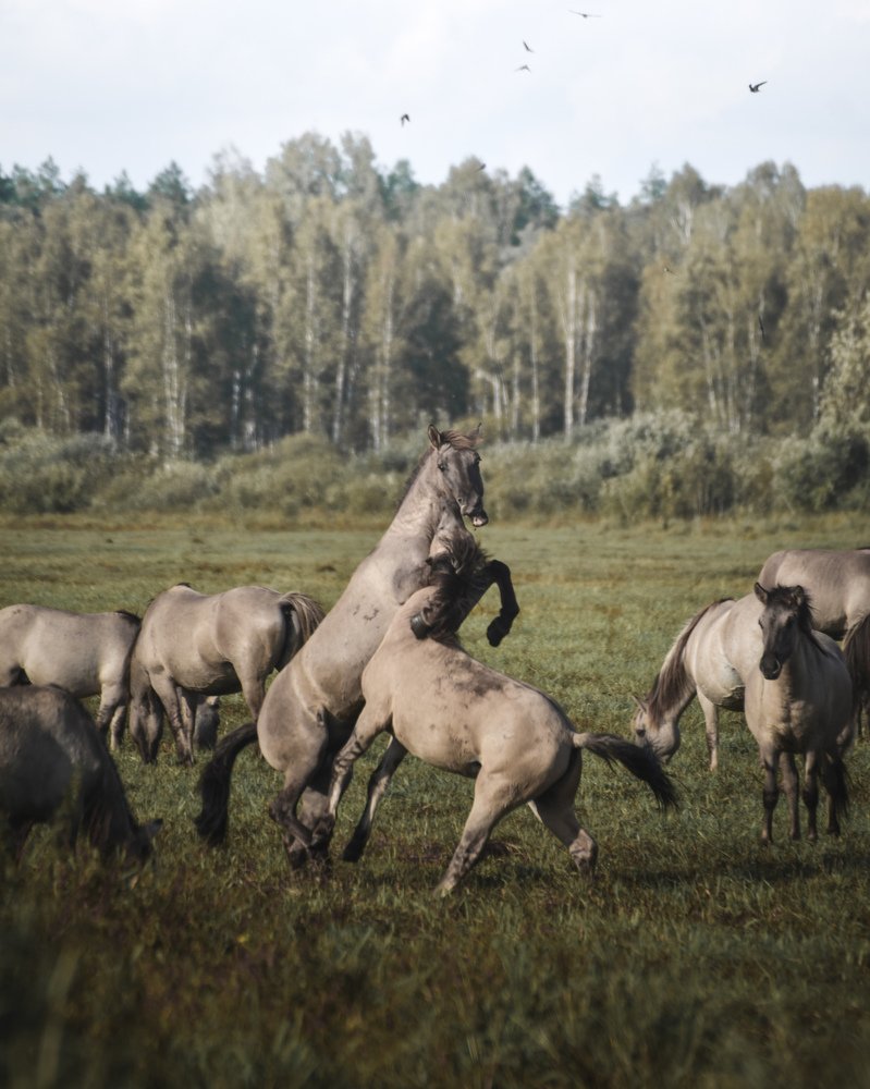 Photograph by Вадим Величко