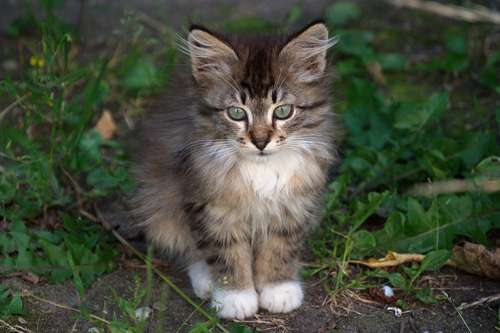 Photograph by Yroslava Veretina