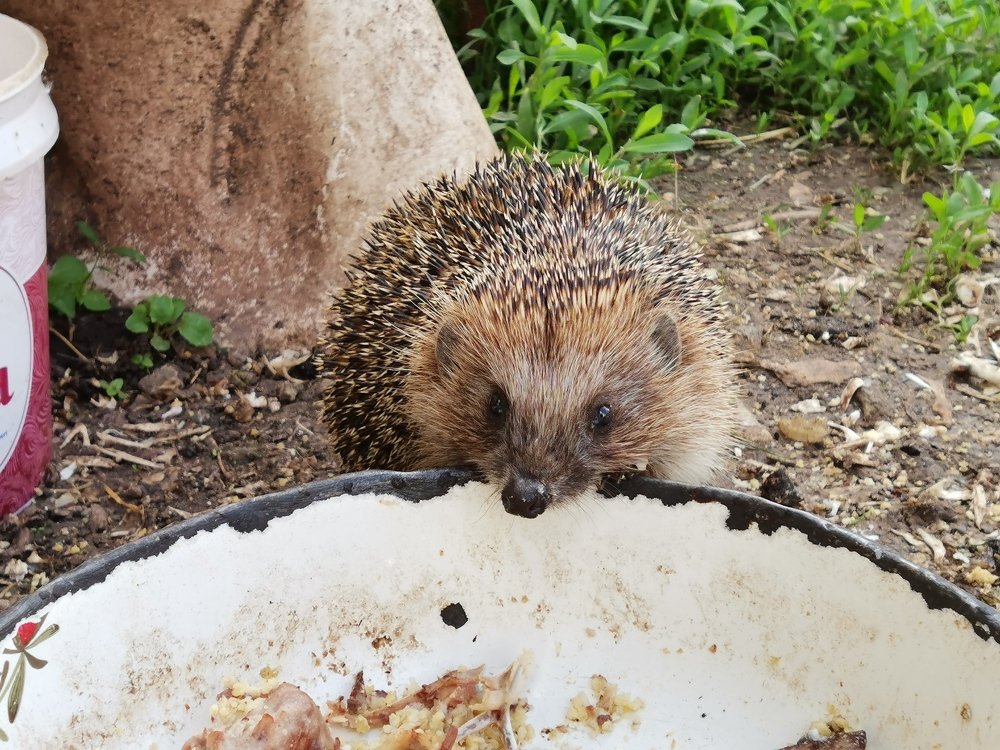 Photograph by Данил Батурин