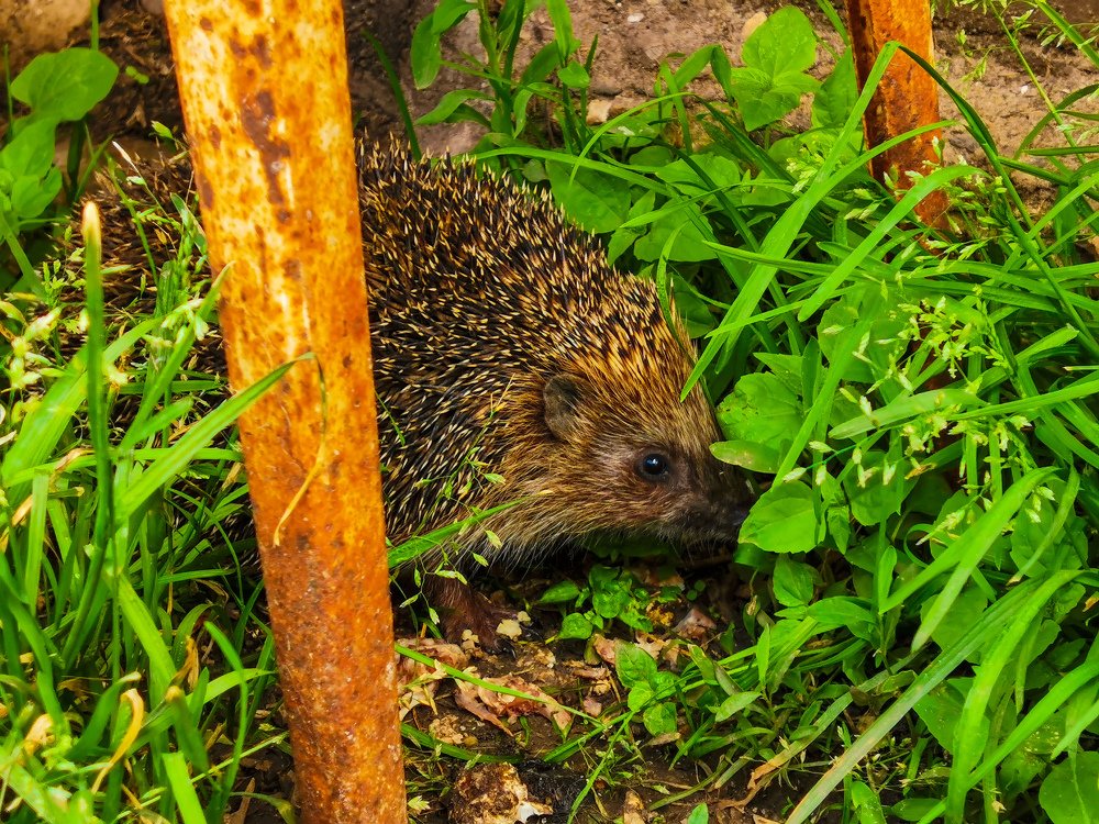 Photograph by Данил Батурин