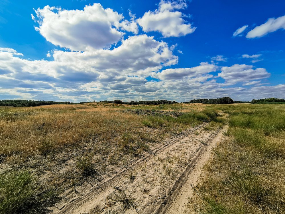 Photograph by Данил Батурин