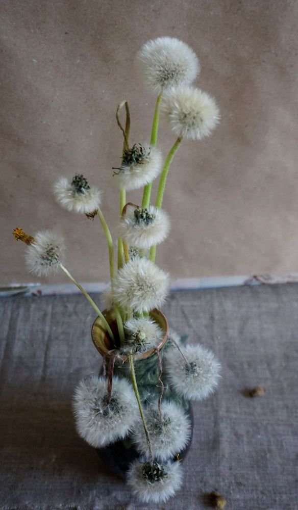 Фотография автора Алина Прищепа