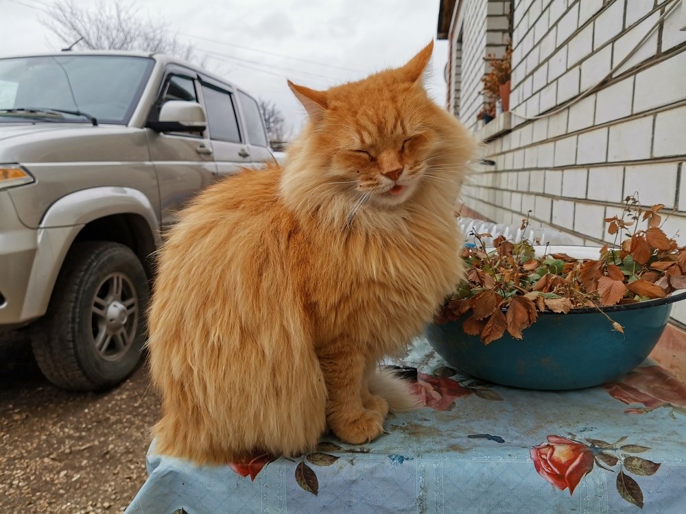 Photograph by Данил Батурин