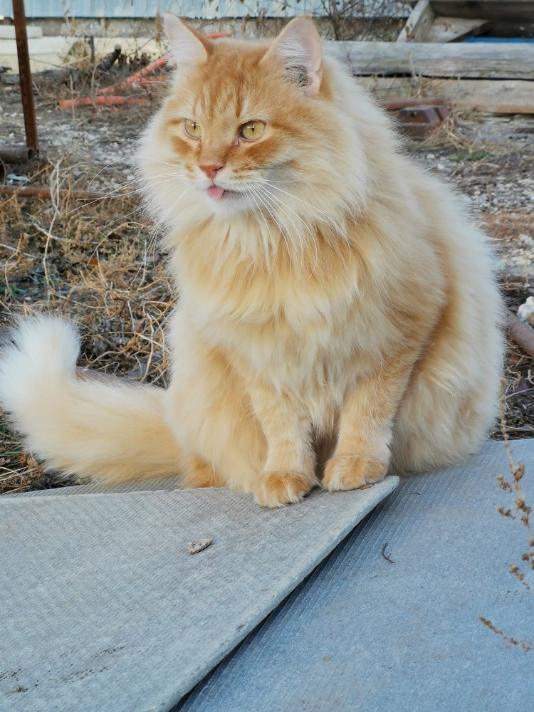 Photograph by Данил Батурин