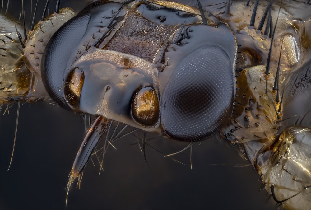 Photograph by Сергей Федоренко