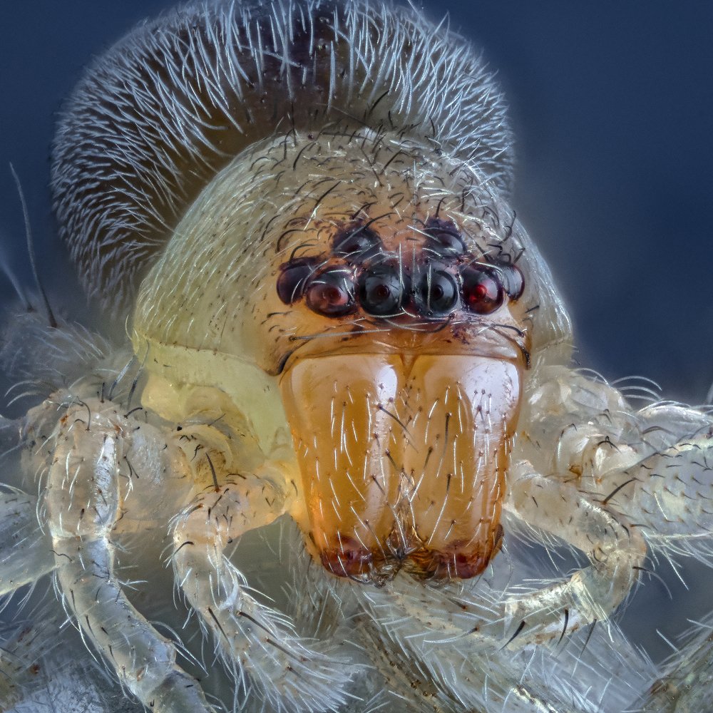 Photograph by Сергей Федоренко