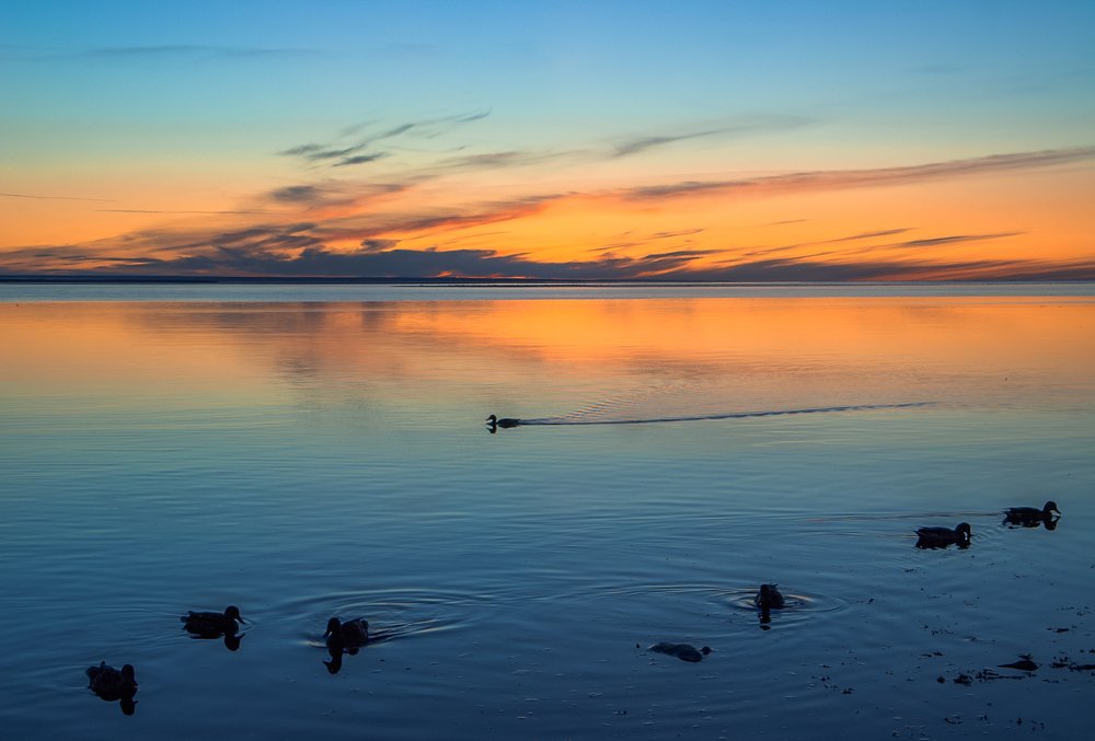 Photograph by Ольга Ситникова