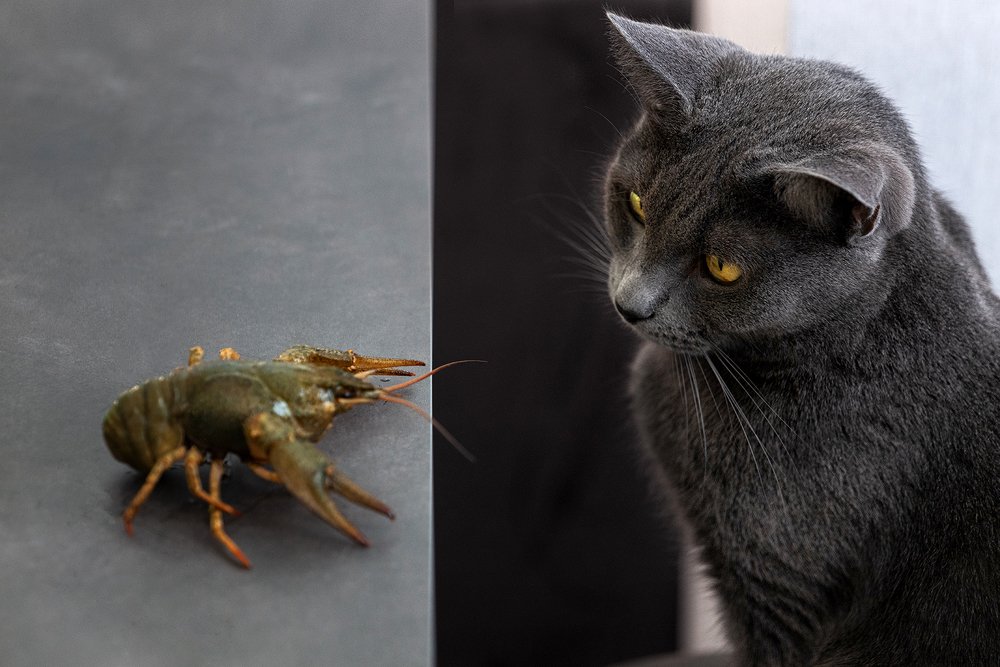 Photograph by Нина Богатырева