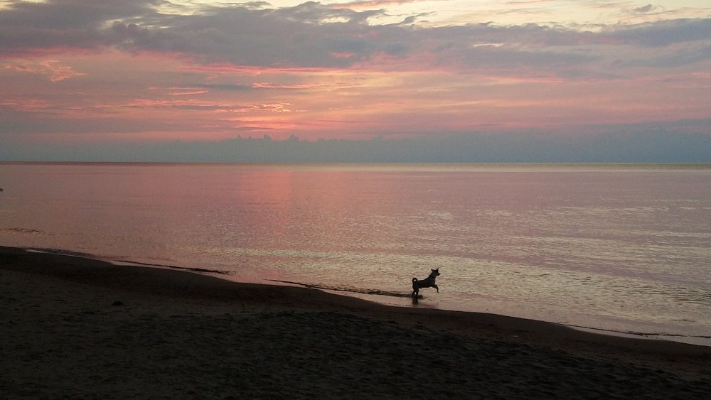 Радуется морю