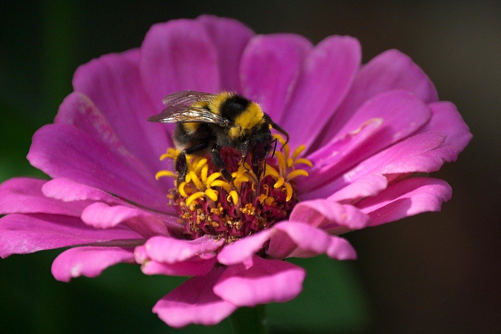 Photograph by Yroslava Veretina