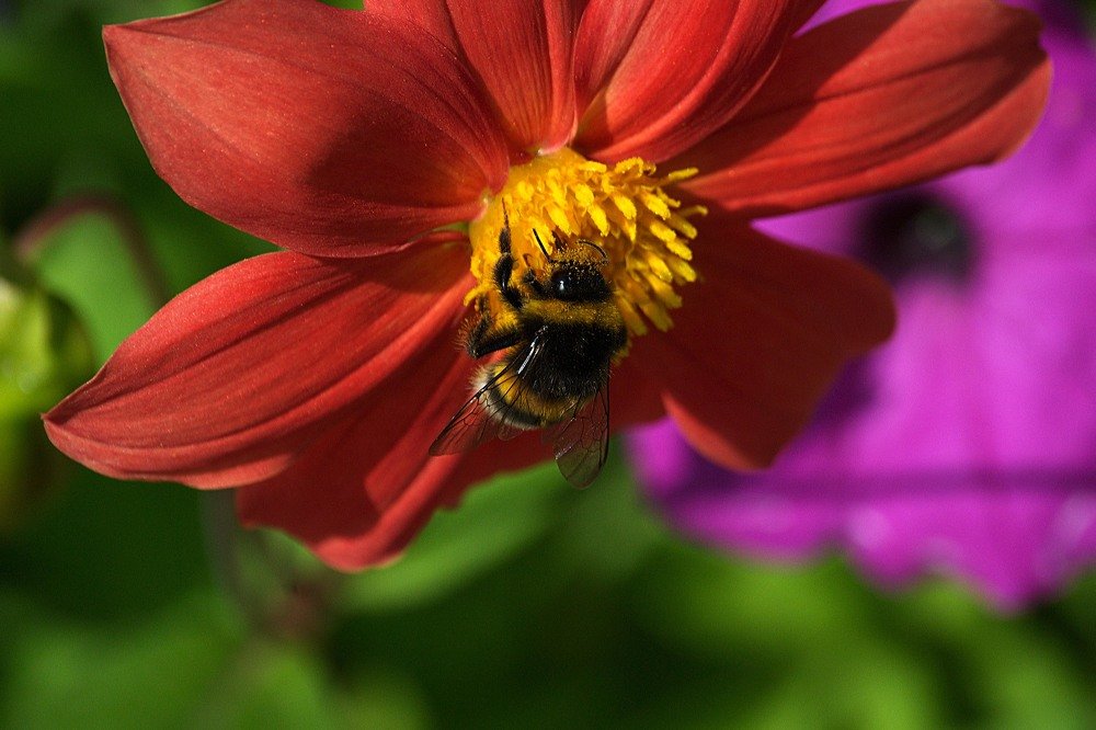 Photograph by Yroslava Veretina