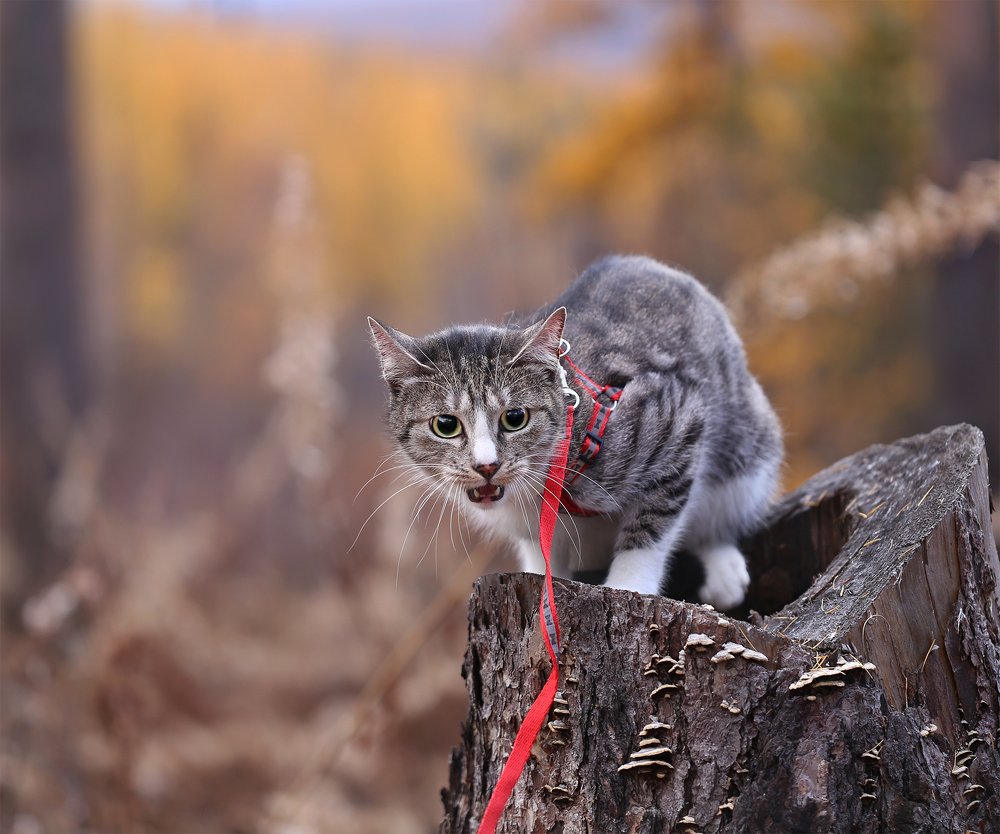 Photograph by Евгения Левина