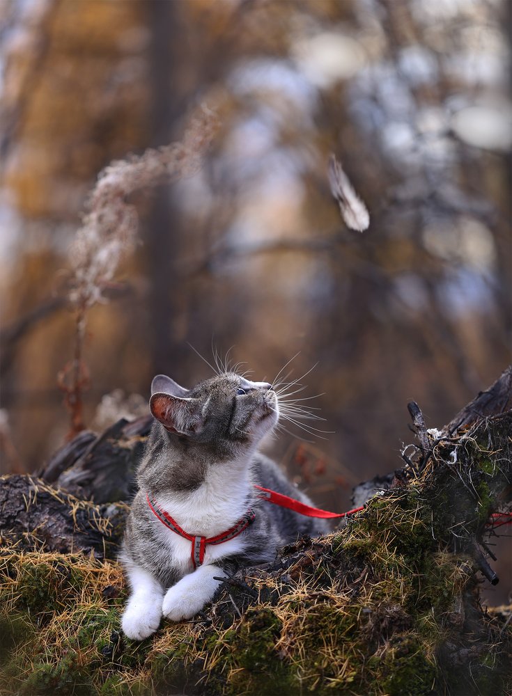 Photograph by Евгения Левина