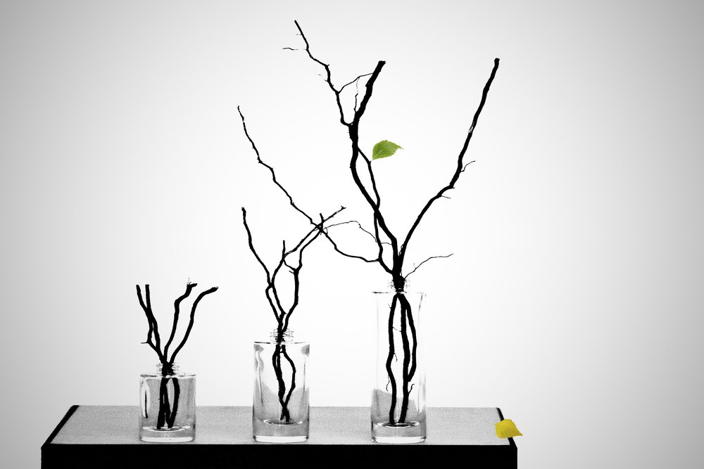 Everything Goes to Happen