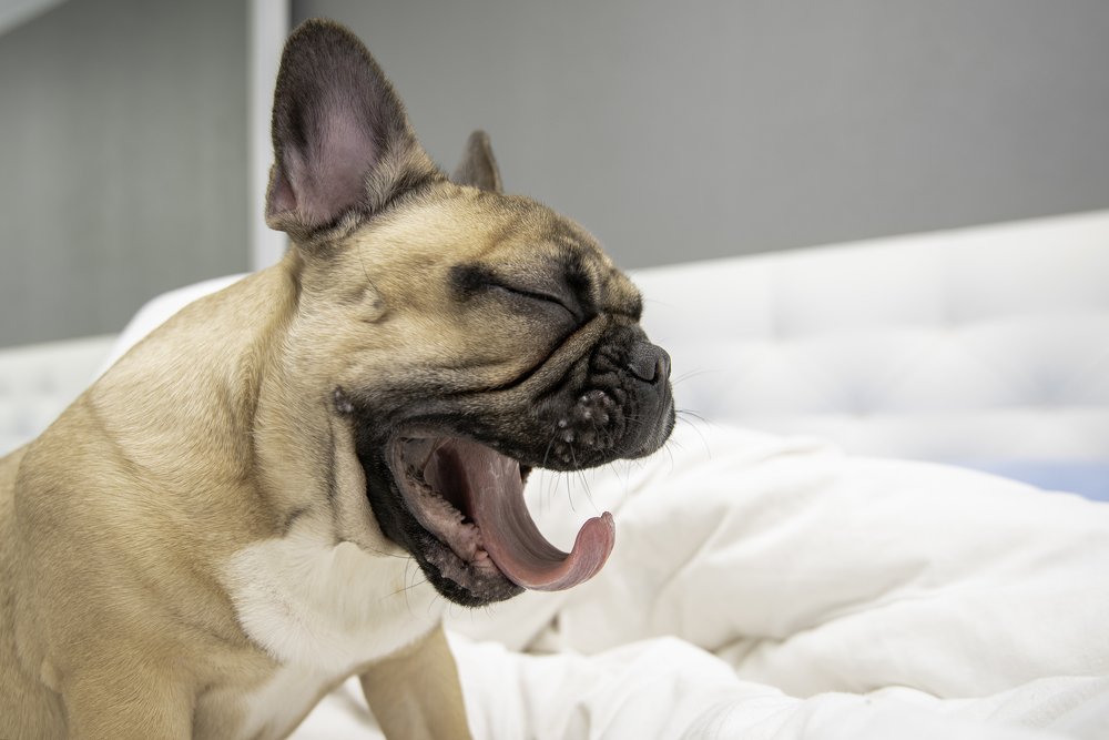 Photograph by Кадырова Марина