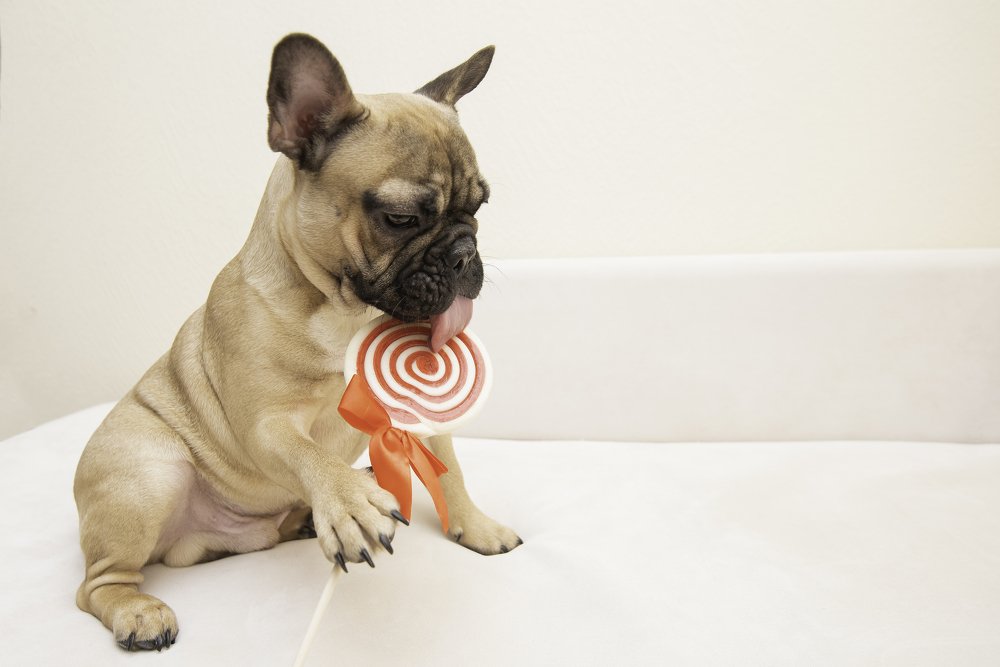 Photograph by Кадырова Марина