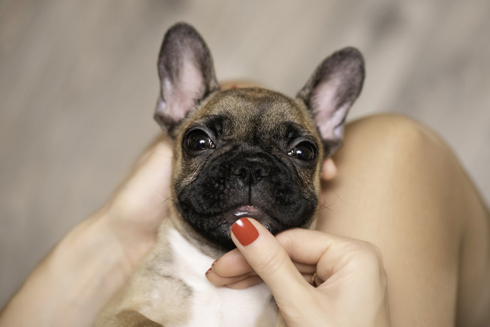 Photograph by Кадырова Марина