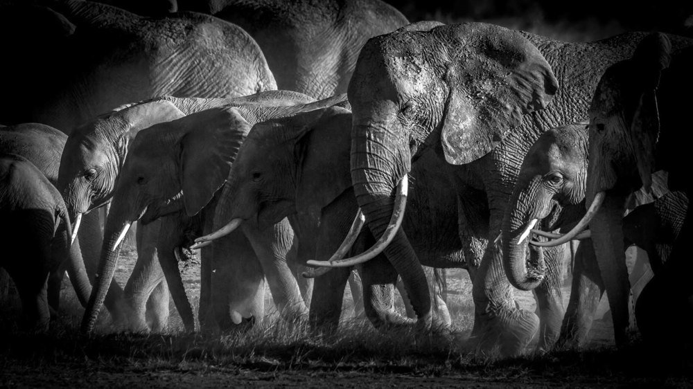 Photograph by Smita Behera