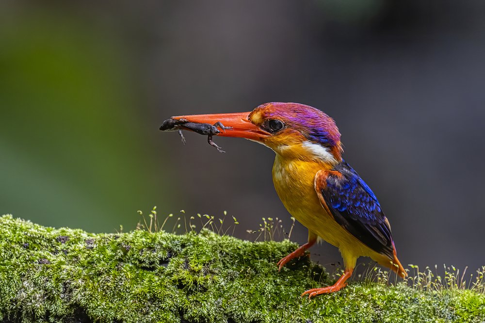 Photograph by Smita Behera