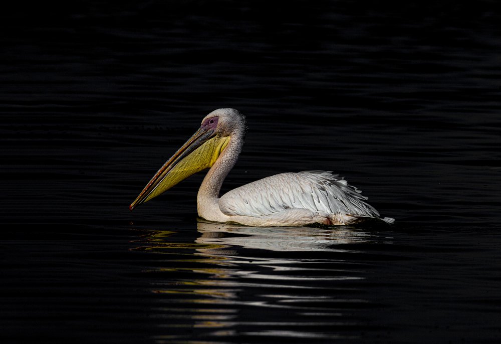 Photograph by Smita Behera