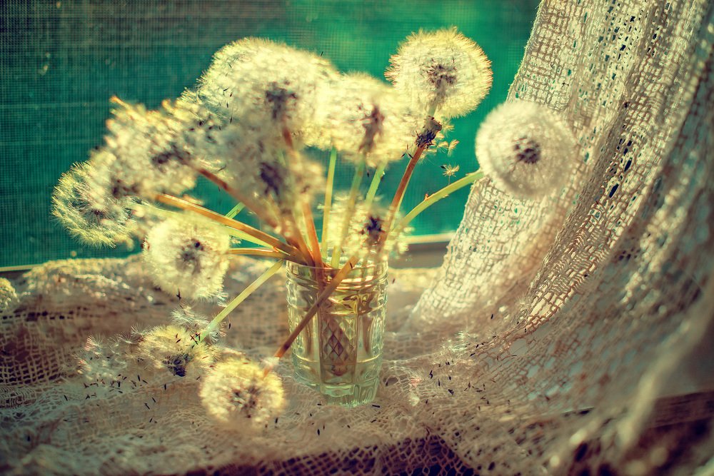 Photograph by Ирина Гиман (Гусева)