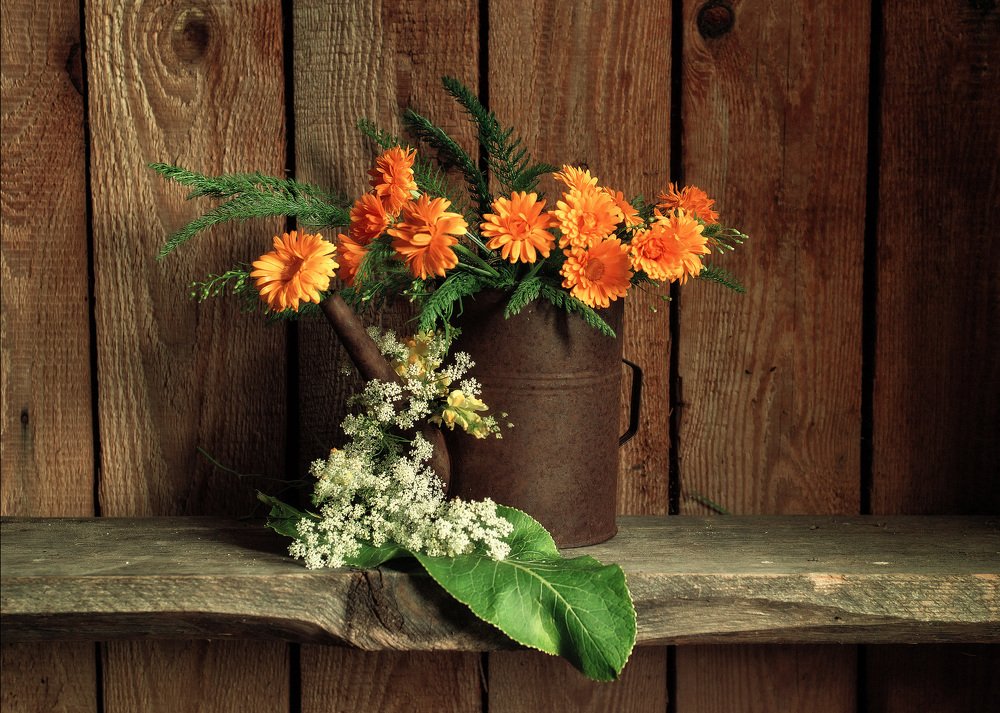 Photograph by Ирина Гиман (Гусева)