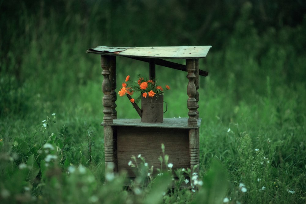 Photograph by Ирина Гиман (Гусева)