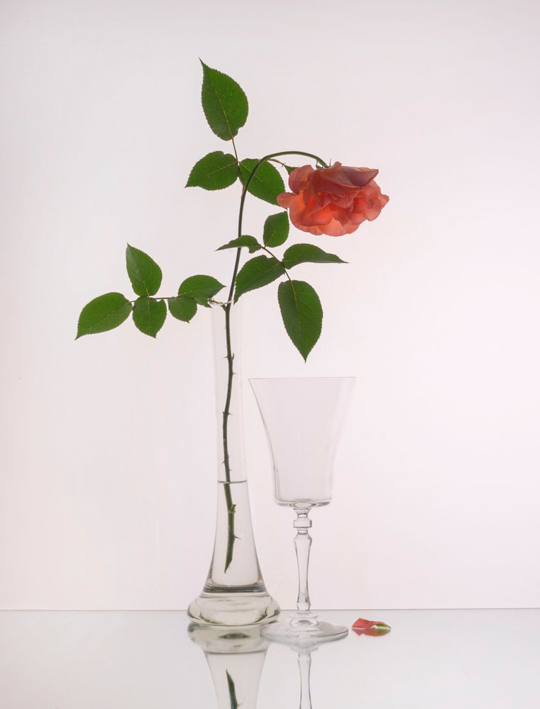 Фотография автора Людмила Прокофьева