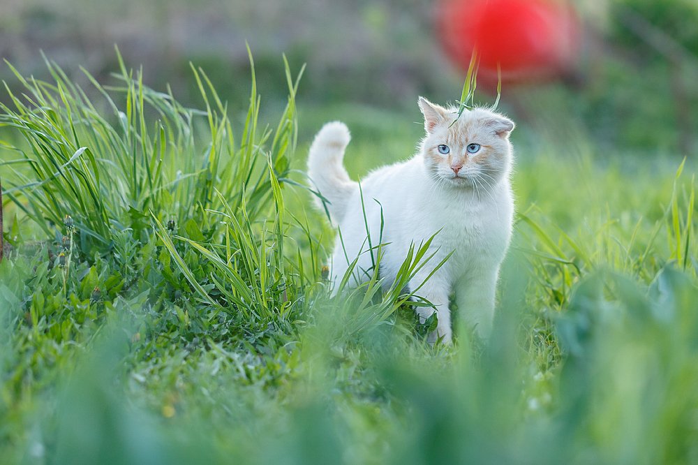 Photograph by Максим Иванов