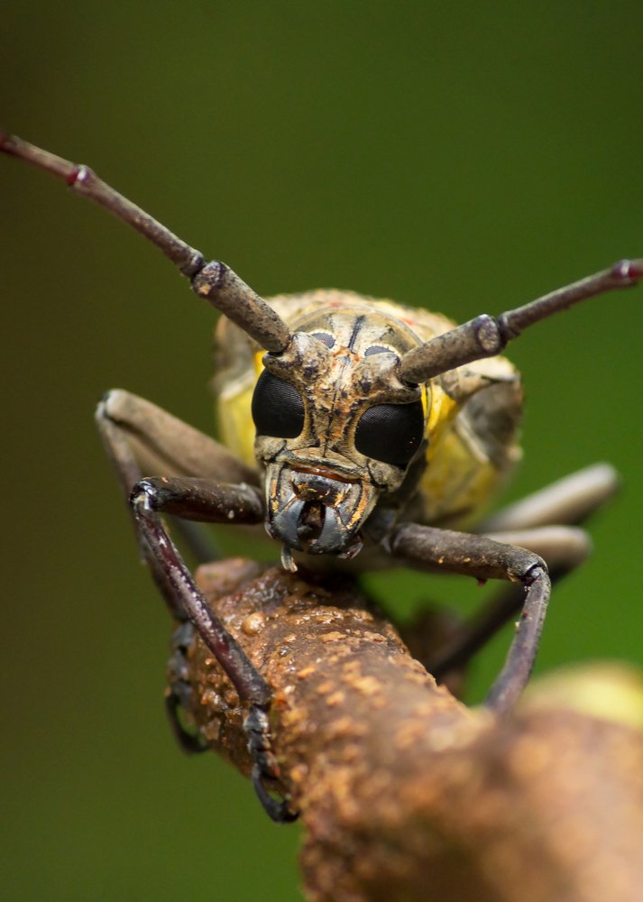 Photograph by Prasad Kn