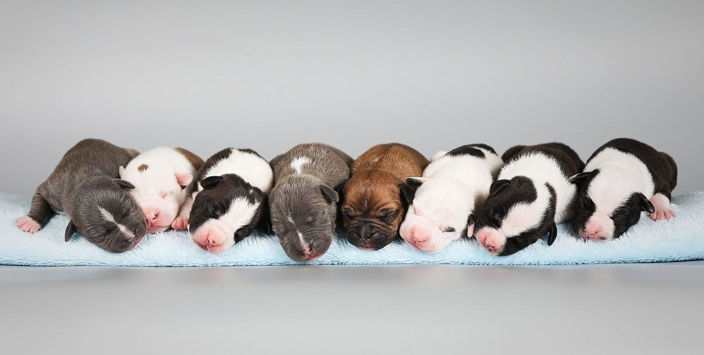 Photograph by Галина Ледок