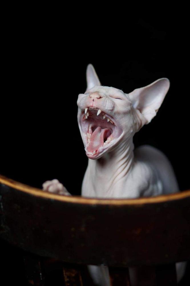 Photograph by Анна Миллер