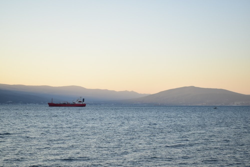 Photograph by Алена Жилина