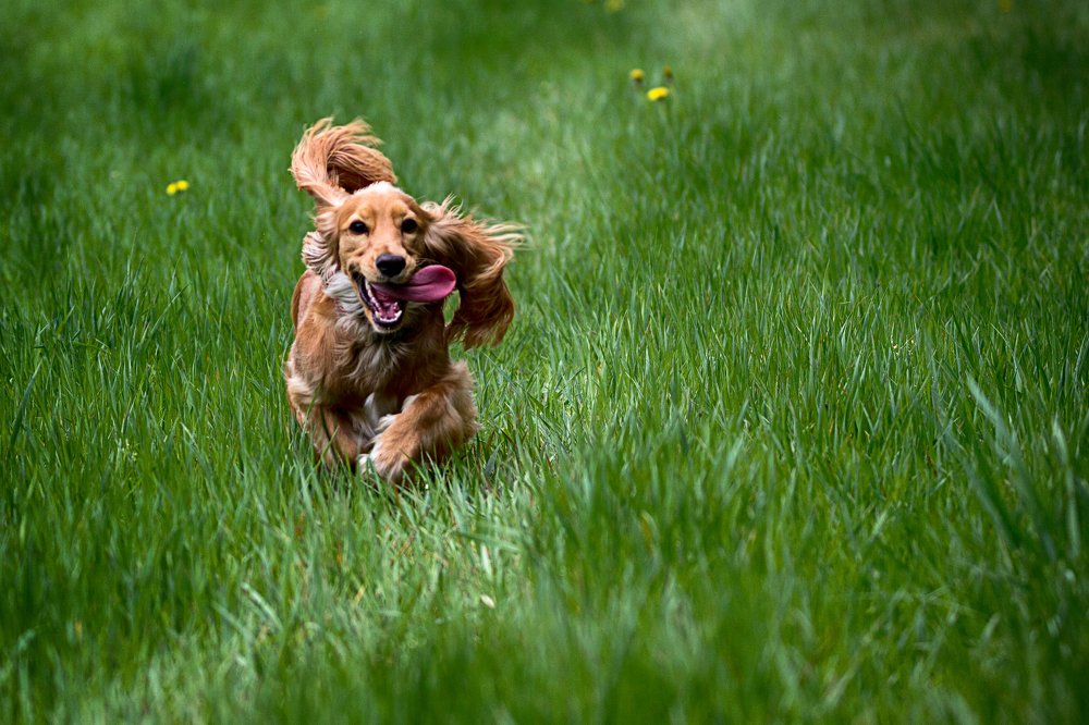 Photograph by Anna Suchcicka