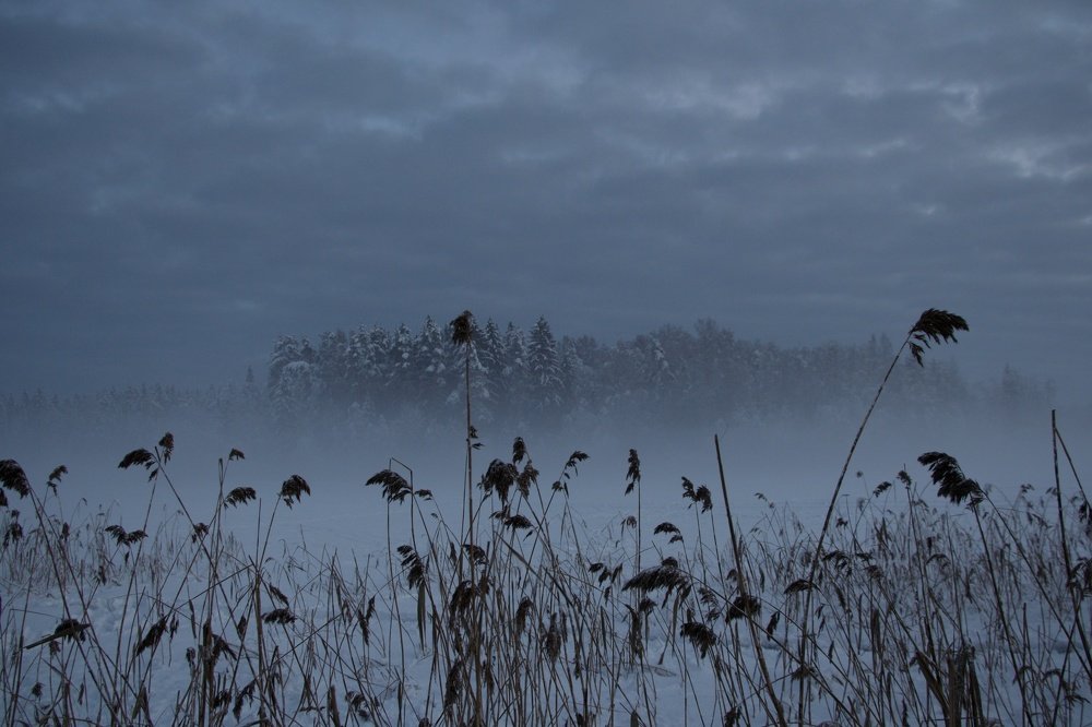 Photograph by Кирилл Фролов