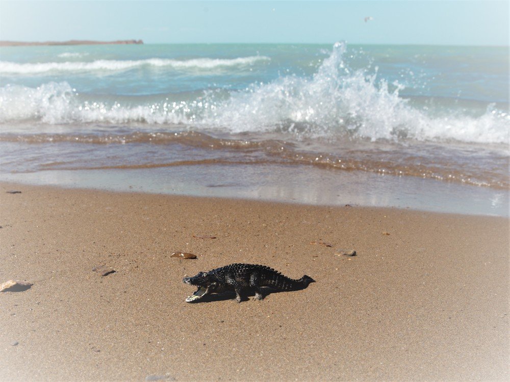 Photograph by Наталья Старостенко