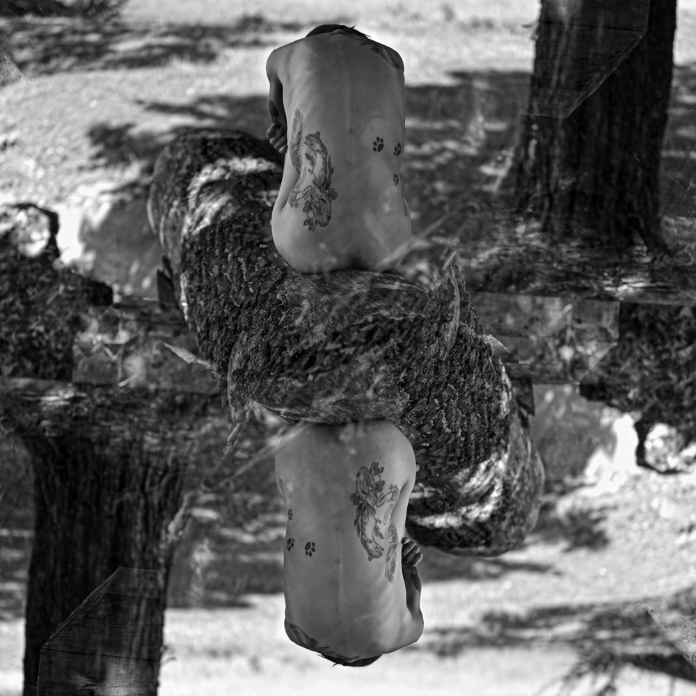 Photograph by Iulian Buzdugan