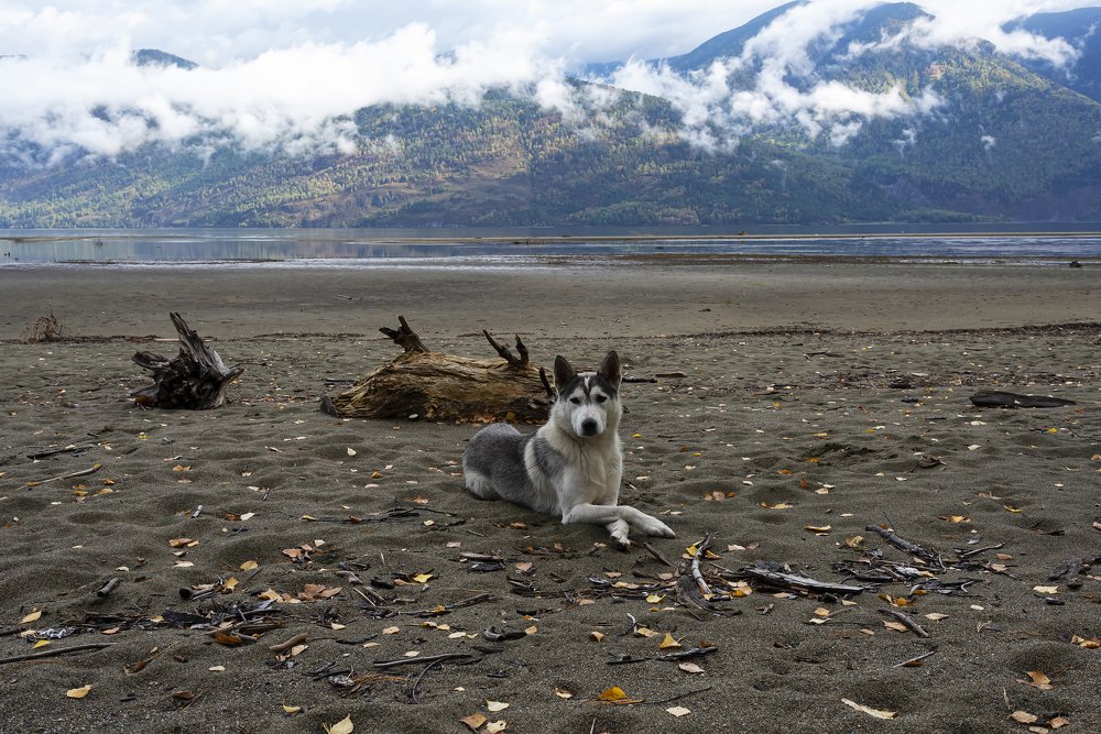 На фотосессии.
