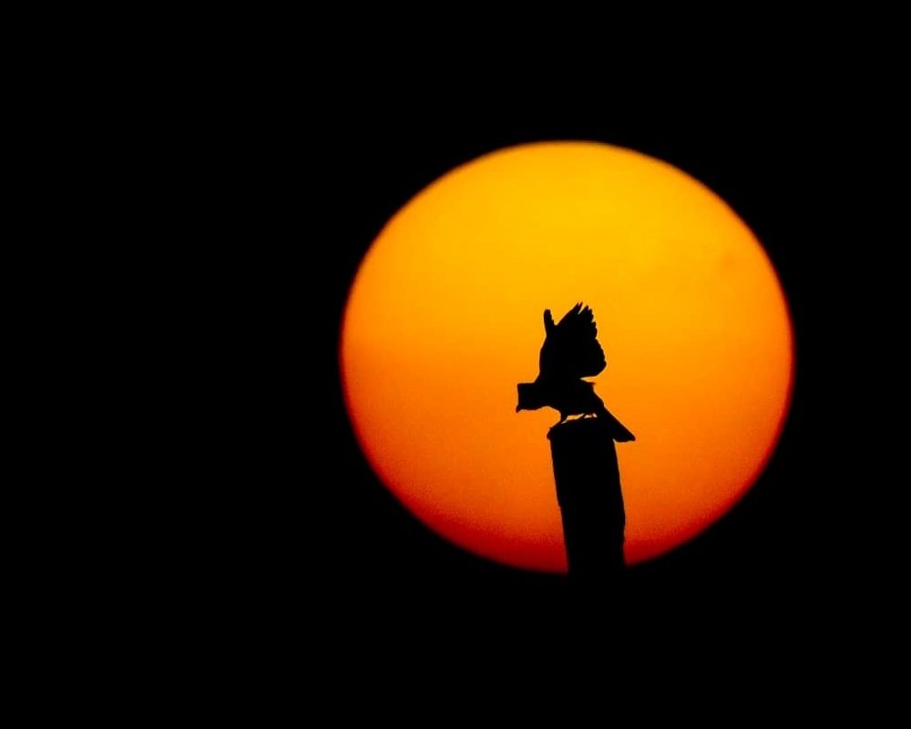 Photograph by Archit Agrawal