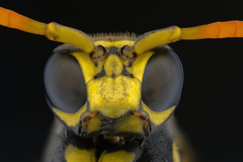 Photograph by Антон Орленко