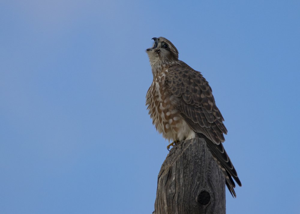 Photograph by Жбир Денис