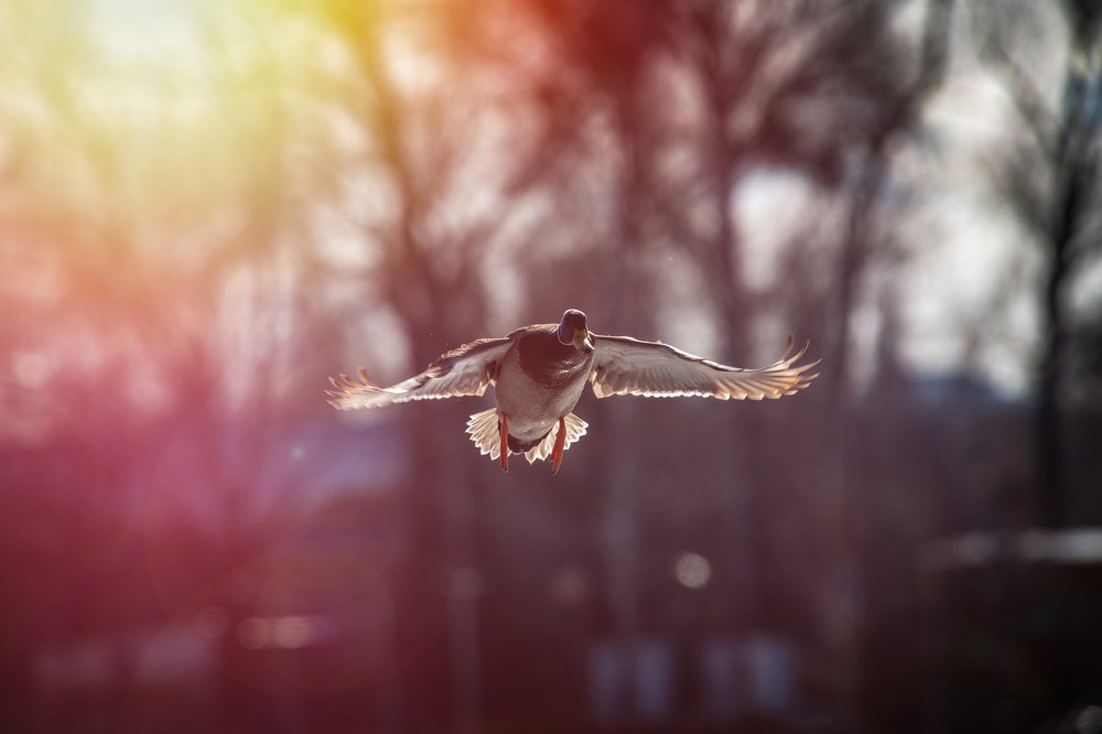 Photograph by Сергей Щербина