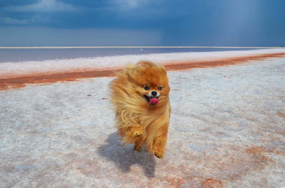 Photograph by Светлана Попоудина