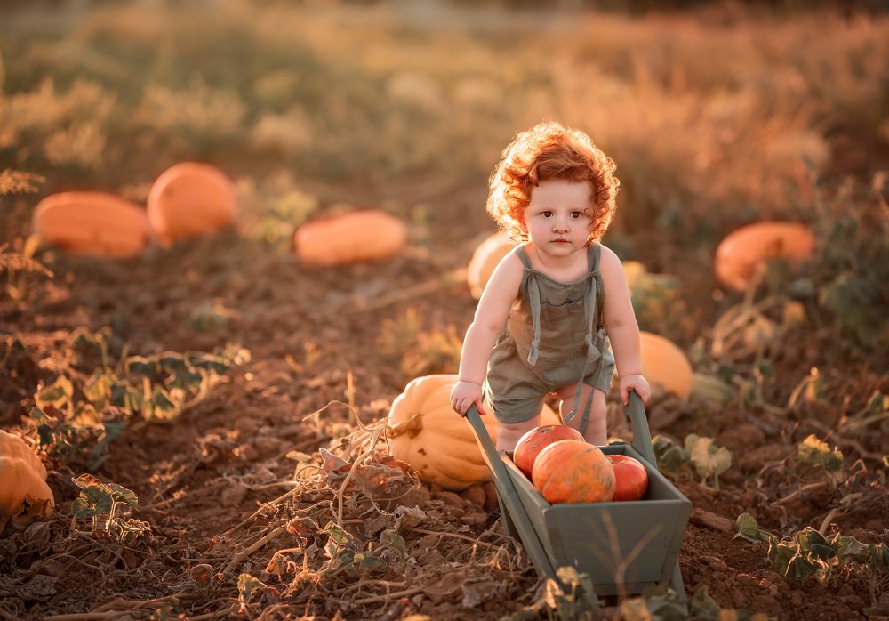 Photograph by Sonia Lazdin