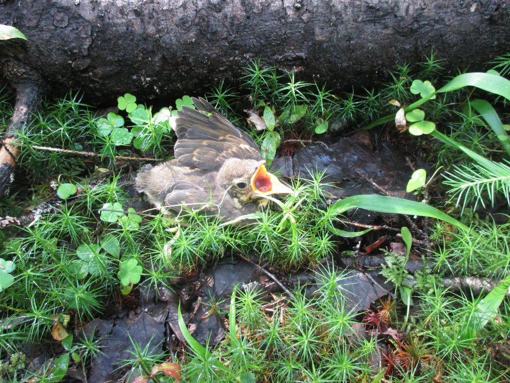 Photograph by Елена Малкова