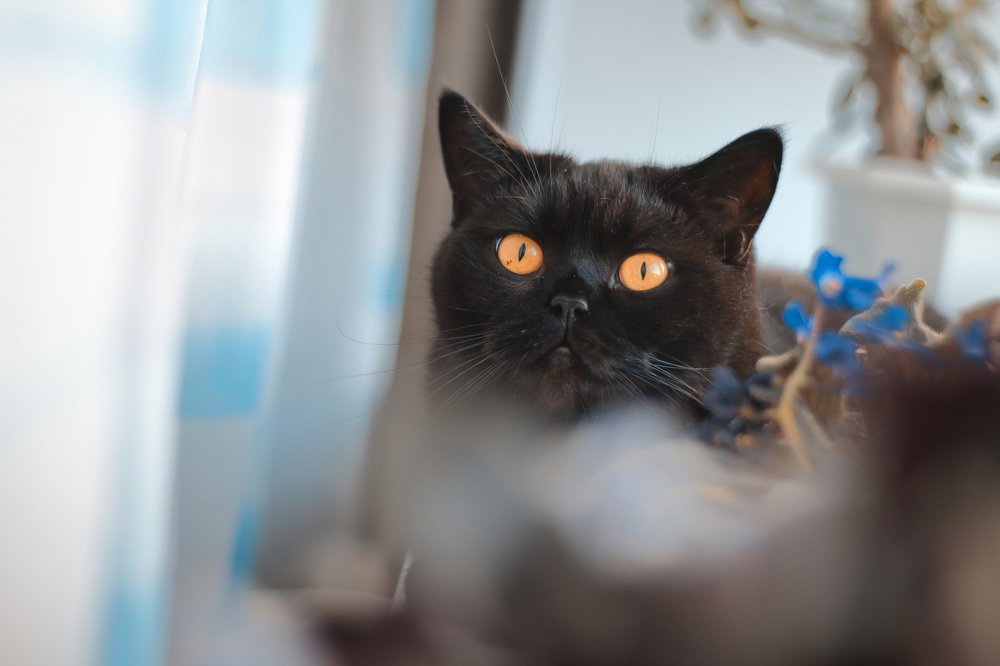 Photograph by Эльза Давлеева